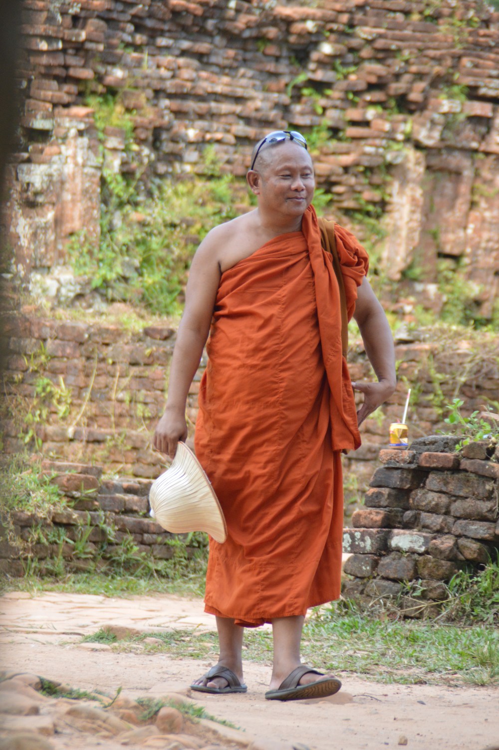 Visitor to My Son Sanctuary